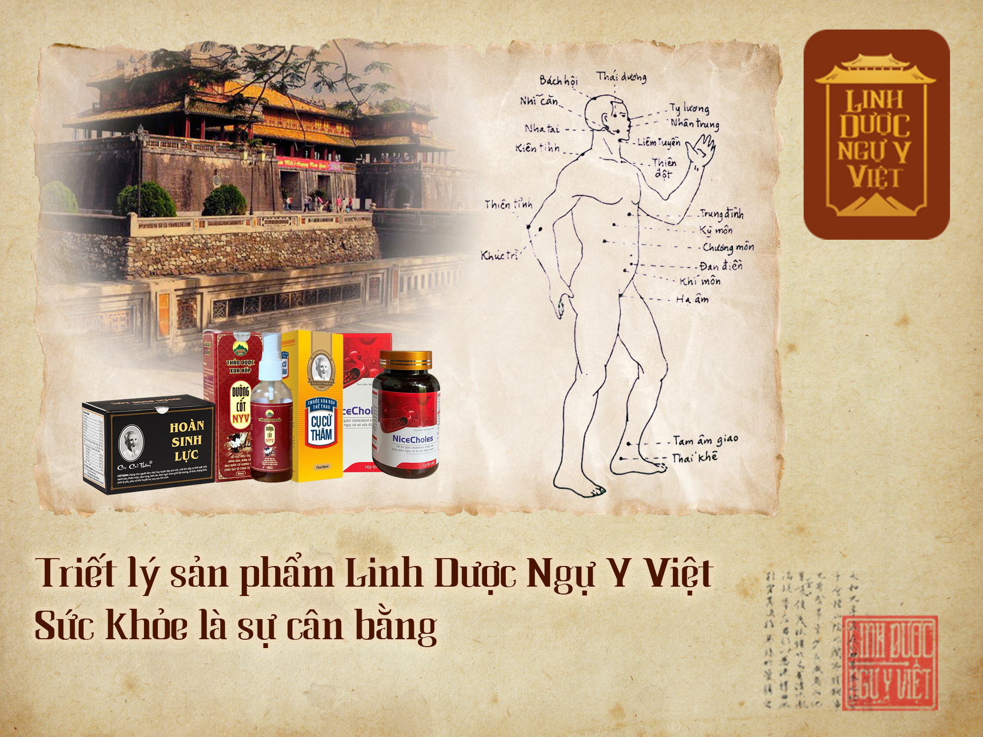 Triết Lý Sản Phẩm Của Linh Dược Ngự Y Việt: Sức Khỏe Là Sự Cân Bằng